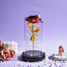 Load image into Gallery viewer, Glass Preserved Rose Galaxy Rose LED Light Artificial Flowers Gifts for Women
