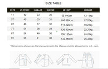 Load image into Gallery viewer, Boys Sweater Children Winter Clothes Kids New Fashion Knitted Clothing Girls Shirts High Quality Infant Costum Warm
