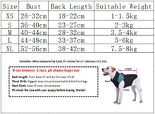 Load image into Gallery viewer, Pet Clothes Dog Coat Warm Christmas   Year Festive Christmas Elk Couple Dress Skirt Hoodie Dog Clothes Dog Hoodies Dress
