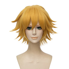 Load image into Gallery viewer, Cat Noir Cosplay Wig 30cm Short Golden Heat Resistant Synthetic Hair Perucas Cosplay Wigs + Wig Cap
