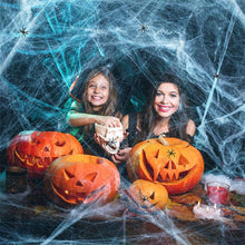 Load image into Gallery viewer, Halloween Decorations Artificial Spider Web Super Stretch Cobwebs with Fake Spiders Scary Party Scene Decor Horror House Props
