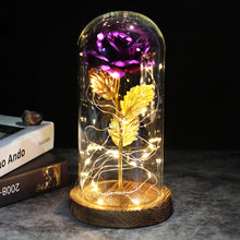 Load image into Gallery viewer, LED Enchanted Galaxy Rose Eternal 24K Gold Foil Flower With Fairy String Lights In Dome For Christmas Valentine's Day Gift
