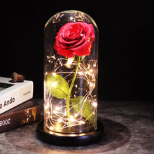 Load image into Gallery viewer, LED Enchanted Galaxy Rose Eternal 24K Gold Foil Flower With Fairy String Lights In Dome For Christmas Valentine's Day Gift
