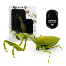 Load image into Gallery viewer, Infrared RC Insect Remote Control Simulation Mantis Prank Joke Trick Bugs Kids Gift
