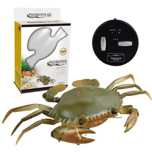 Load image into Gallery viewer, Infrared RC Insect Remote Control Simulation Mantis Prank Joke Trick Bugs Kids Gift
