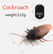 Load image into Gallery viewer, Infrared Remote Control Cockroach Toy Animal Trick Terrifying Mischief Kids Toys Funny Novelty Gift RC Spider Ant

