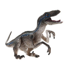 Load image into Gallery viewer, Jurassic Tyrannosaurus Rex + Blue Velociraptor Dinosaur Action &amp; Toy Figures Animal Collection Learning &amp; Educational Kids toy
