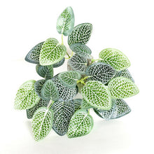 Load image into Gallery viewer, 5pcs Artificial Grass Plants For Store Shop Bonsai Fake Small Green Plants Artificial Greenery Plant  Wall Home Garden Decoration
