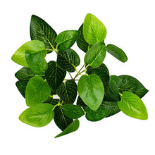 Load image into Gallery viewer, 5pcs Artificial Grass Plants For Store Shop Bonsai Fake Small Green Plants Artificial Greenery Plant  Wall Home Garden Decoration
