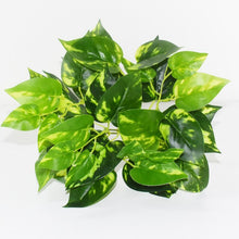Load image into Gallery viewer, 5pcs Artificial Grass Plants For Store Shop Bonsai Fake Small Green Plants Artificial Greenery Plant  Wall Home Garden Decoration
