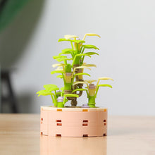 Load image into Gallery viewer, Mini Brick Succulent Potted Flower Model Small Ornament DIY Plant Bonsai Flower Building Block Children's Toy Girl Holiday Gift
