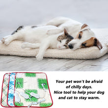 Load image into Gallery viewer, Pet Dog Cat Waterproof Electric Heating Pad Body Winter Warmer Mat Bed Blanket Animals Bed Heater Accessories
