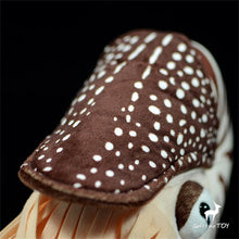 Load image into Gallery viewer, Nautilus High Fidelity Anime Cute Snail Plushie Conch Plush Toys Lifelike Animals Simulation Stuffed Doll Kawai Toy Gifts Kids
