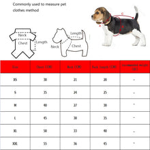 Load image into Gallery viewer, Fashion Winter Pet Funny Three-dimensional Dog Christmas Clothes Santa Claus Dog Standing Ropa De Navidad Para Mascotas
