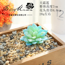 Load image into Gallery viewer, Blue Series Artificial Succulent Pant Flower Head Creative DIY Accessories Flower Arrangement Artificial Flower Plant Wall Supplies Green Plant
