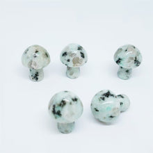 Load image into Gallery viewer, 5PCs Natural Crystal Agate Mushroom 2cm Mini Small Mushroom Crystal Crafts Micro Landscape Ornaments Decorations

