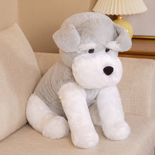 Load image into Gallery viewer, Boby Cute Standing Schnauzer Plush Toy Dog Doll Creative
