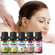 Load image into Gallery viewer, Massage Essential Oil Sadoer Moisturizing Skin Rejuvenation Lock Water Rose Essential Oil
