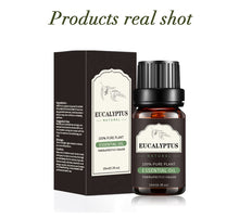 Load image into Gallery viewer, Aromatherapy Oil Organic Essence Oil Single Essential Oil Lavender Tea Tree Massage Essential Oils
