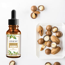 Load image into Gallery viewer, Argan Oil Nuts Hair Care Essential Oil Organic Native Body Skin Oil Massage Spa Cold Pressed Oil
