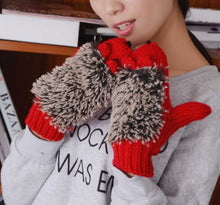 Load image into Gallery viewer, Full Finger Cartoon Hedgehog Gloves Winter Gloves Women's Korean-Style Cute Winter Girls' Knitted Gloves
