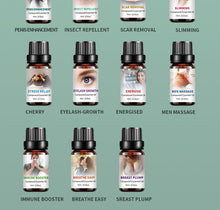 Load image into Gallery viewer, Synthesis Oil Beauty Salon Pavilion of Regimen Body Massage Ginger Fever Lavender Essential Oil Essential Oil
