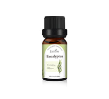 Load image into Gallery viewer, Aromatherapy Candle Essential Oil Lavender Tea Tree Rose Bedroom Hotel Holding Incense Single Square Organic Essence Oil Humidifying
