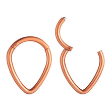 Load image into Gallery viewer, Trendy Human Body Piercing Accessories 316L Stainless Steel Drop-Shaped Nose Ring Earrings
