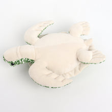 Load image into Gallery viewer, Simulation Turtle Big Eye Turtle Doll Ocean Animal Throw Pillow Turtle Plush Toy Kids Gift
