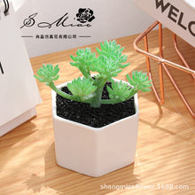 Load image into Gallery viewer, Artificial Succulent Pant Bonsai (Pot Included) Artificial Flower Creative Decoration Artificial Plant
