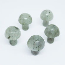 Load image into Gallery viewer, 5PCs Natural Crystal Agate Mushroom 2cm Mini Small Mushroom Crystal Crafts Micro Landscape Ornaments Decorations
