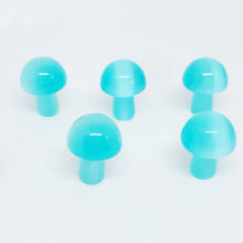 Load image into Gallery viewer, 5PCs Natural Crystal Agate Mushroom 2cm Mini Small Mushroom Crystal Crafts Micro Landscape Ornaments Decorations
