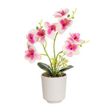 Load image into Gallery viewer, 3D Printing Film Three-Fork Eight-Flower Phalaenopsis Bonsai Artificial Flower Fashion Home Decorations
