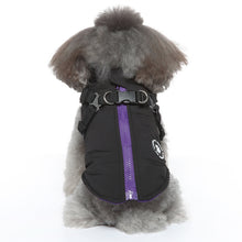 Load image into Gallery viewer, Chest Strap Winter Jacket Cotton Coat PET's Chest-Back Zipper Pet Clothing for Dog
