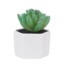 Load image into Gallery viewer, Artificial Succulent Pant Bonsai (Pot Included) Artificial Flower Creative Decoration Artificial Plant
