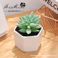 Load image into Gallery viewer, Artificial Succulent Pant Bonsai (Pot Included) Artificial Flower Creative Decoration Artificial Plant
