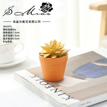 Load image into Gallery viewer, Succulent Plant Bonsai Creative Decoration Gift Flower Plant Interior Decoration
