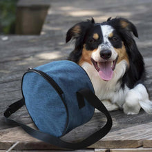 Load image into Gallery viewer, Outdoor Golf Flying Disc Bag Backpack Waterproof And Wear-resistant Durable Disc Storage Bag Pet Trainning
