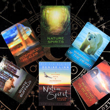 Load image into Gallery viewer, Seasons of the Witch Oracle Oards Samhain Oracle Hot Sell Rider Tarot Cards For Divination Tarot Deck
