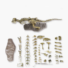 Load image into Gallery viewer, Simulation DIY 3D Dinosaur Model Skeleton Educational Dinosaurio Biology Biologia Interesting Toy For Children Gift Dinosaurios
