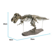 Load image into Gallery viewer, Simulation DIY 3D Dinosaur Model Skeleton Educational Dinosaurio Biology Biologia Interesting Toy For Children Gift Dinosaurios
