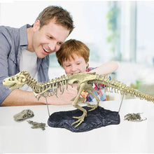 Load image into Gallery viewer, Simulation DIY 3D Dinosaur Model Skeleton Educational Dinosaurio Biology Biologia Interesting Toy For Children Gift Dinosaurios
