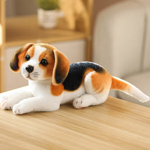 Load image into Gallery viewer, Simulation Plush Dogs Toy Look Alike Husky Dalmatians Akita Miguel Sharpie Puppy Dolls Lovely Stuffed Toys Kids Birthday Gift
