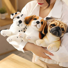 Load image into Gallery viewer, Simulation Plush Dogs Toy Look Alike Husky Dalmatians Akita Miguel Sharpie Puppy Dolls Lovely Stuffed Toys Kids Birthday Gift
