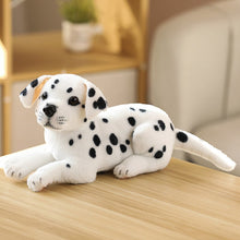 Load image into Gallery viewer, Simulation Plush Dogs Toy Look Alike Husky Dalmatians Akita Miguel Sharpie Puppy Dolls Lovely Stuffed Toys Kids Birthday Gift
