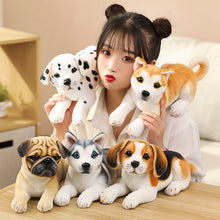 Load image into Gallery viewer, Simulation Plush Dogs Toy Look Alike Husky Dalmatians Akita Miguel Sharpie Puppy Dolls Lovely Stuffed Toys Kids Birthday Gift
