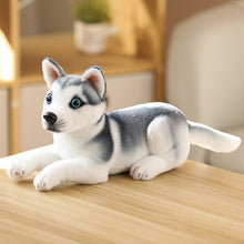 Load image into Gallery viewer, Simulation Plush Dogs Toy Look Alike Husky Dalmatians Akita Miguel Sharpie Puppy Dolls Lovely Stuffed Toys Kids Birthday Gift
