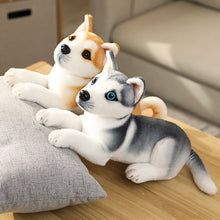 Load image into Gallery viewer, Simulation Plush Dogs Toy Look Alike Husky Dalmatians Akita Miguel Sharpie Puppy Dolls Lovely Stuffed Toys Kids Birthday Gift
