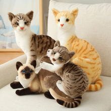 Load image into Gallery viewer, Stuffed Lifelike Siamese Cats Plush Toy simulation American Shorthair Cute Cat Doll Pet Toys Home Decor Gift For Girls birthday
