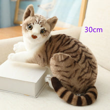 Load image into Gallery viewer, Stuffed Lifelike Siamese Cats Plush Toy simulation American Shorthair Cute Cat Doll Pet Toys Home Decor Gift For Girls birthday

